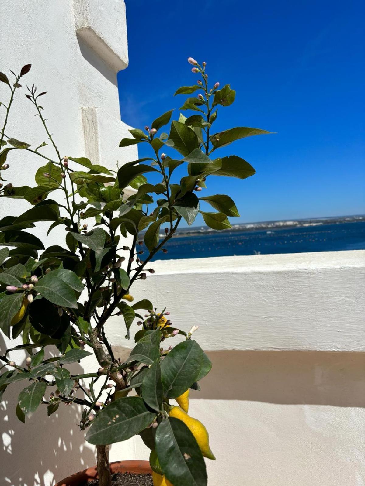 Il Palazzino Apartment ตารันโต ภายนอก รูปภาพ